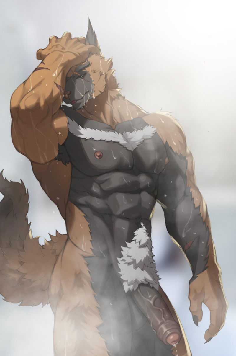 Reed | Military Vet